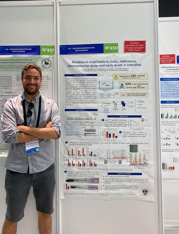Investigadores del ibs.GRANADA identifican un compuesto natural que frena el avance de la enfermedad del hígado graso