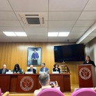 La Academia Iberoamericana de Farmacia nombra académica de honor a la directora científica del ibs.GRANADA